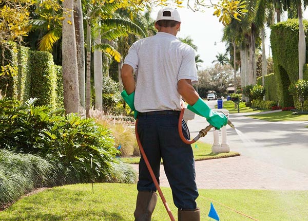 About Randall MN Pest Control